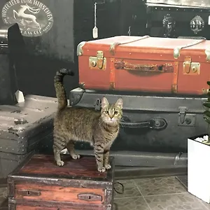 Sacvoyage Киев